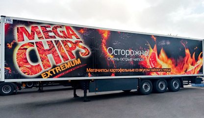 Мегачипс